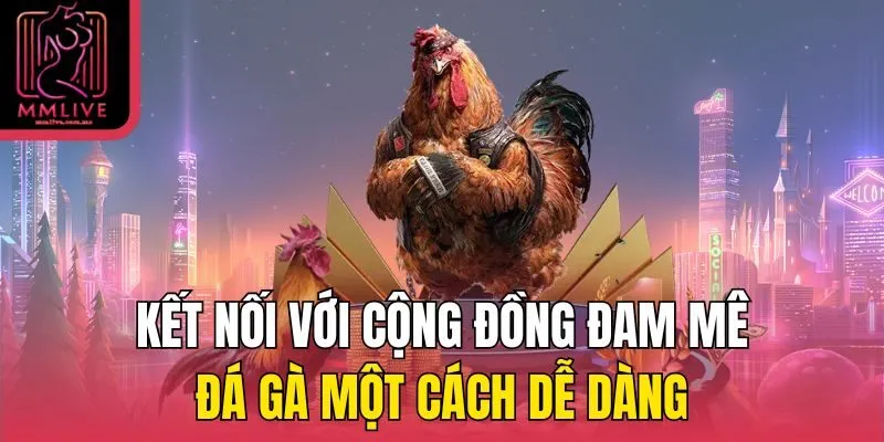 Kết nối với cộng đồng đam mê đá gà một cách dễ dàng
